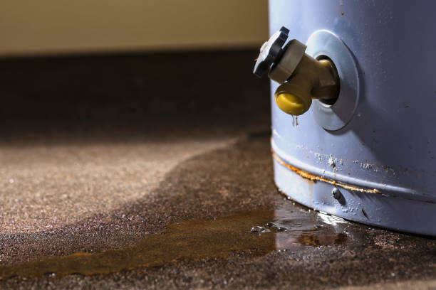 Best Fire Damage Restoration  in Amelia Court House, VA