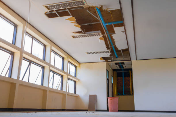 Best 24-hour water damage restoration  in Amelia Court House, VA