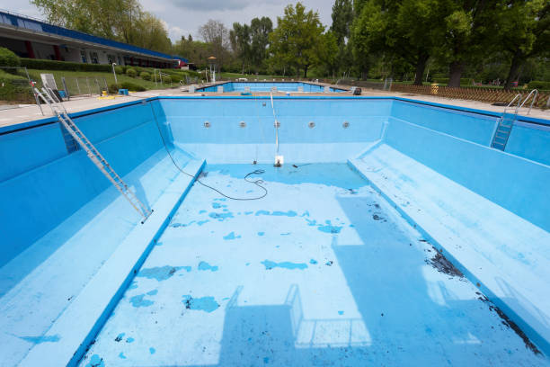 Best Basement water damage restoration  in Amelia Court House, VA