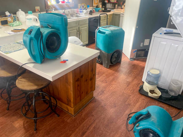 Best Water damage mitigation services  in Amelia Court House, VA
