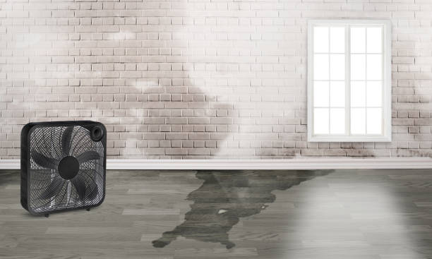 Best Flood restoration services  in Amelia Court House, VA