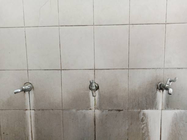 Best Ceiling water damage repair  in Amelia Court House, VA