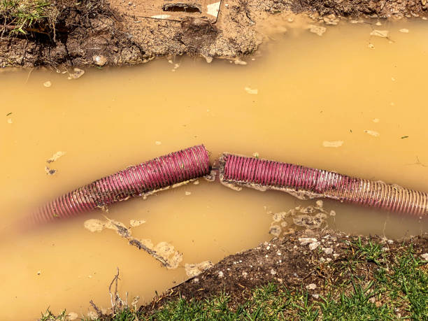 Best Emergency water damage restoration  in Amelia Court House, VA