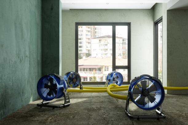 Best Commercial water damage restoration  in Amelia Court House, VA